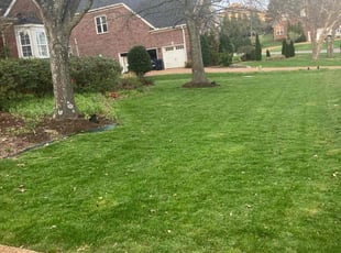 Tammy T.'s Yard Cutting service result