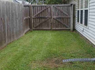 Tina B.'s Lawn Mowing service result