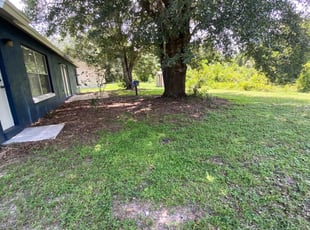 Bush Trimming by Luangie Rodriguez for Robin D. in Clermont, FL