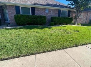 Bush Trimming by JosΓ© Peraza for Charity S. in Frisco, TX