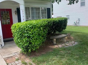 Bush Trimming by Chance Rosenberger for Dennise W. in Charlotte, NC