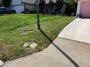 Cleanups by Bryant Infante Baez for Mandi O. in Round Rock, TX