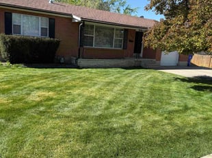 Brenda T.'s Grass Cutting service result