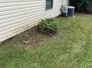 Weeding by Johntel Kelly for Wilton E. in Denham Springs, LA