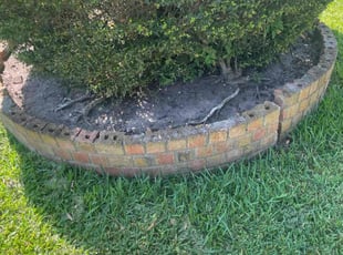 Weeding by Joseph Lopez for Tom R. in Houston, TX