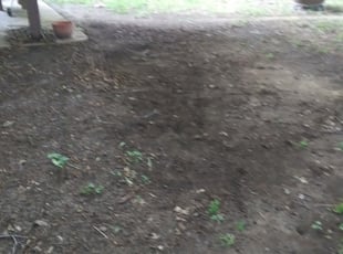 Cleanups by Demetrius Curry for Kylie M. in Tulsa, OK