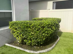 Weeding by Paul Bartholomew for Courtney S. in Palm Bay, FL