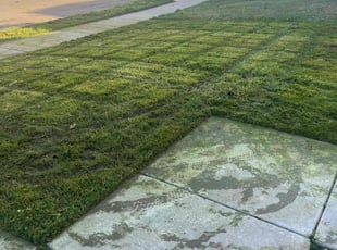Charles S.'s Lawn Care service result