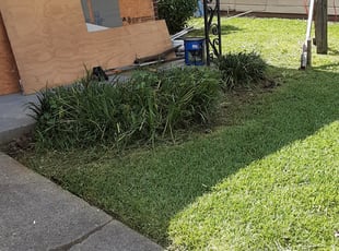 Bush Trimming by Dedrionne Stembridge for Shalacia L. in New Orleans, LA
