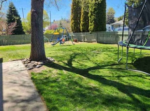Willie J.'s Lawn Mowing service result
