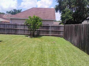 Bush Trimming by Mark Enclarde for Yareli A. in Belle Chasse, LA