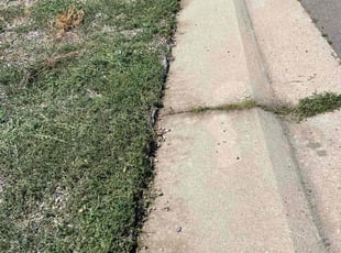 Cleanups by Tom Davis for Emily R. in Denver, CO