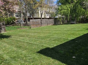 Debra Y.'s Lawn Mowing Service service result