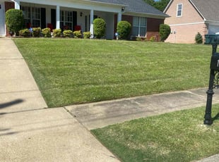 Terry B.'s Lawn Mowing service result