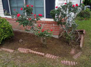 Weeding by Jared Lecompte for Wilton E. in Denham Springs, LA