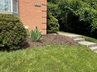 Bush Trimming by Aaron Thichangthong for Michael S. in Woodbridge, VA