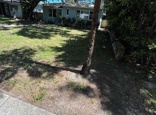 Cleanups by Trevor Wood for Anna M. in St. Petersburg, FL