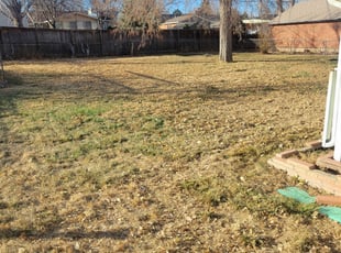 Leaf Removal by Kevin Johnson for Christy W. in Wheat Ridge, CO
