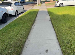 Araceli C.'s Grass Cutting service result