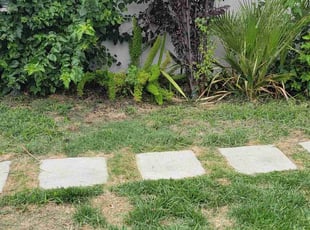 Weeding by Douglas Rockford for Ben S. in Burbank, CA