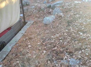 Weeding by Shane Chabot for Sara R. in Worcester, MA