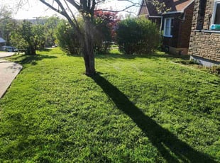 Justin O.'s Lawn Service service result