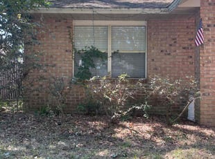 Bush Trimming by Trace Valle for Tracey M. in Palm Coast, FL
