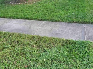 Peter M.'s Lawn Mowing Service service result