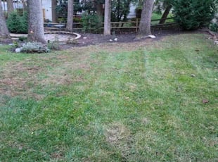 Leaf Removal by Gualberto Mazariegos for Parker S. in Burke, VA