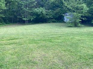 Oliver Z.'s Lawn Mowing service result