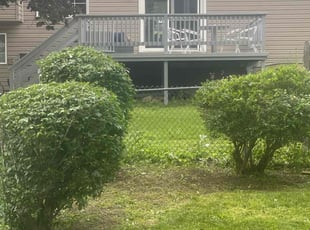 Bush Trimming by Jose Tejeda for Luis T. in Lancaster, PA