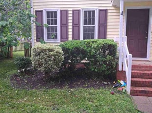 Bush Trimming by Nicole Carter for Karl K. in Richmond, VA