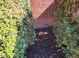 Mulching by Gustavo Martinez for Dodie E. in Manassas, VA