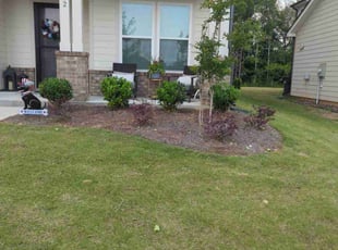 Bush Trimming by Ismael Galvez for Christy B. in Monroe, NC