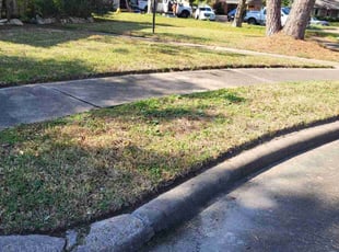 Hilary V.'s Lawn Care service result