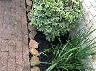 Mulching by Decorian Jones for Amanda D. in Houston, TX