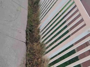 Leaf Removal by Noah Person for Luke B. in Bountiful, UT