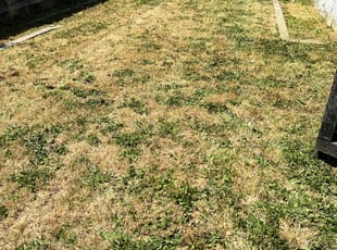 Cleanups by Eduardo Flores for Kip A. in Los Angeles, CA