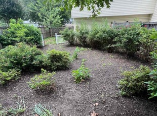 Leaf Removal by Amilcar Flores for Mark L. in Springfield, VA