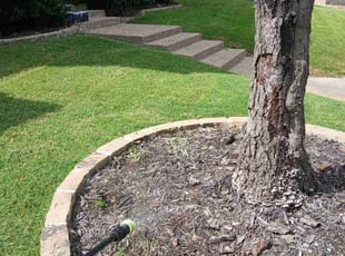 Cleanups by Valente Alvarado for Lisa L. in The Colony, TX