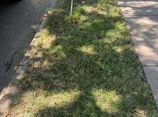 Cleanups by Imunique Hill for Barbara A. in Tulsa, OK