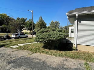 Bush Trimming by Anthony Grant for Angela H. in Indianapolis, IN