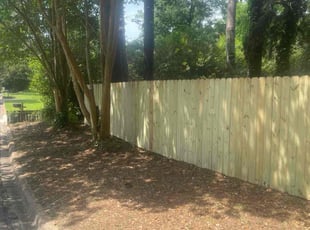 Leaf Removal by Ronald Wade for Russ W. in Tallahassee, FL
