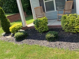 Bush Trimming by Amanda Carteri for Joshua L. in Clayton, NC