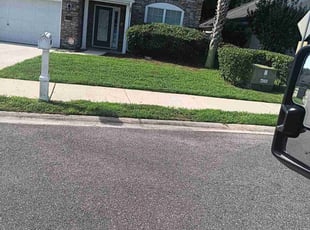 Bush Trimming by Horace Swann for Eve C. in Jacksonville, FL