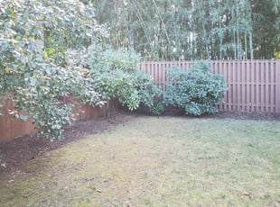 Cleanups by Miguel Santos for Analisa E. in Bethesda, MD