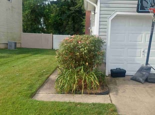 Bush Trimming by Alejandro Gamboa for Kristin M. in Clementon, NJ