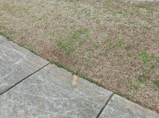 Leaf Removal by C Champion for Natasha K. in Atlanta, GA