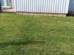 Rosam W.'s Yard Cutting service result