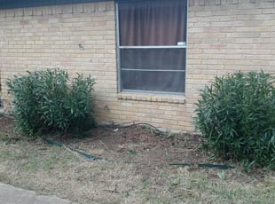Bush Trimming by Gralin Johnson for 6824 Trail Lake Dr Fort Worth, TX 76133 ggl both yards/ Cut only on this day U. in Fort Worth, TX